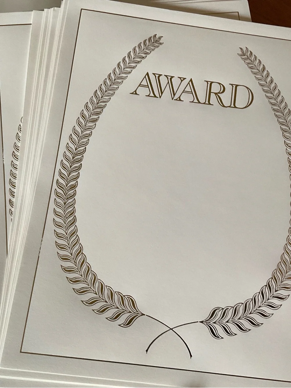 Achievement & Gold Certificates with Gold Embossed Excellence Stickers